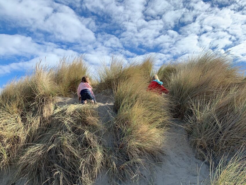 Two children, their back to the viewer, climb to the top of a grassy sand dune.