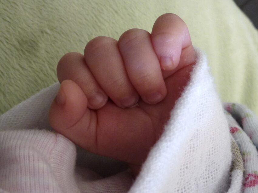 A close-up view of an infant's closed fist, nestled in a white swaddle blanket.