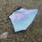 A shard of broken seashell rests on damp, speckled sand. The black, jagged edges frame a pearlescent center of teal, purple, and pink. Another shell, buried in the sand, peeps through with pale pink, purple, and white.
